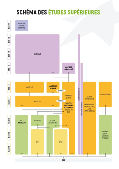 cliquer pour agrandir Schéma des études supérieures