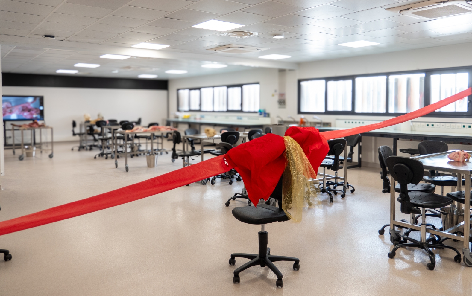 Pôle d'Anatomie Vétérinaire, UniLaSalle Rouen, salle