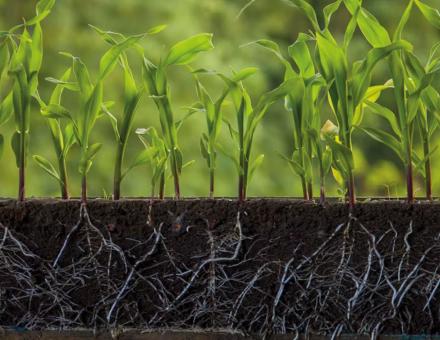 Soils also emit greenhouse gases, and farming practices make a difference